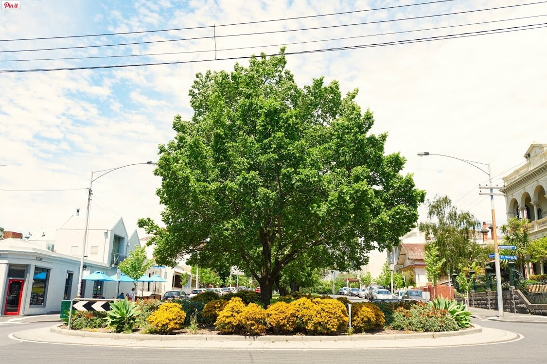 Think_Property-co_East-Melbourne-8-1